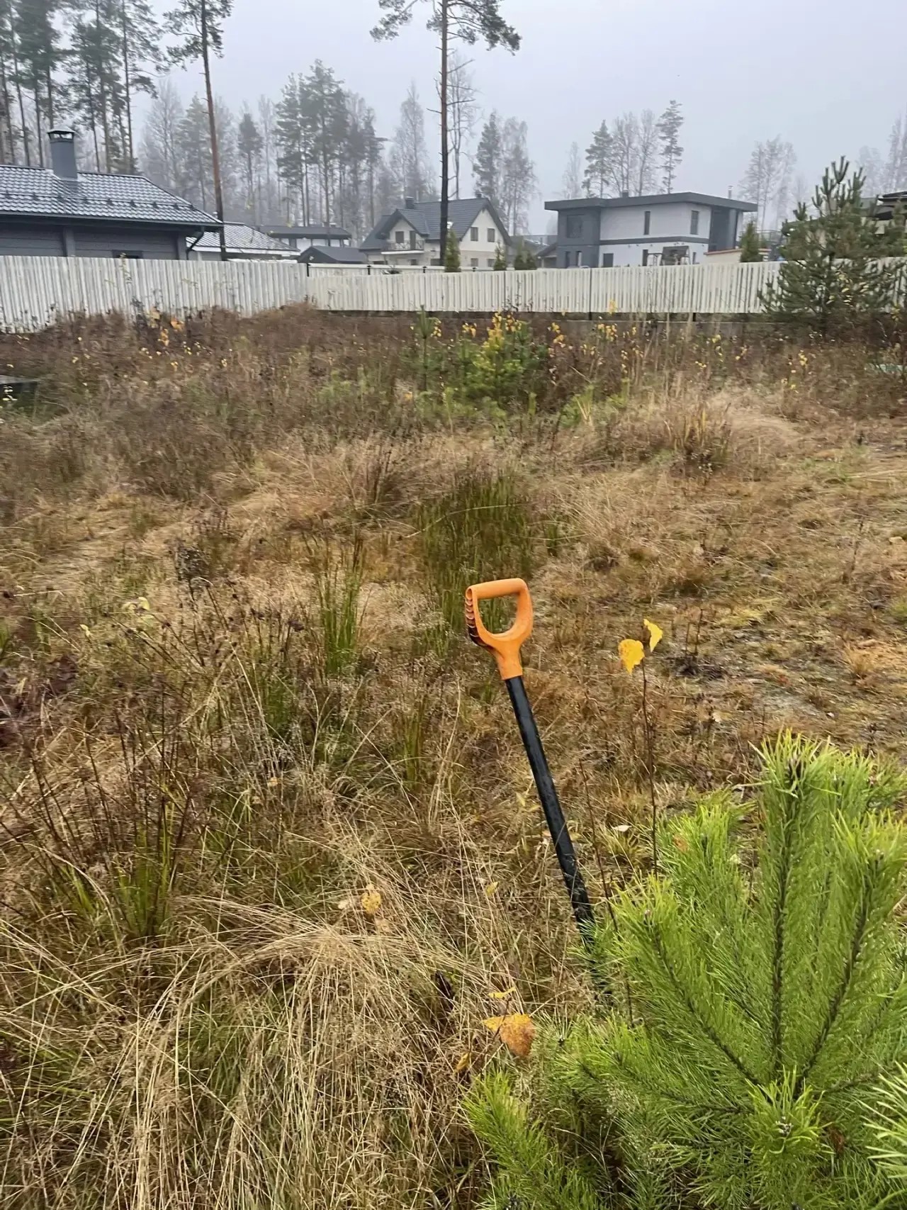 Участок до благоустройства