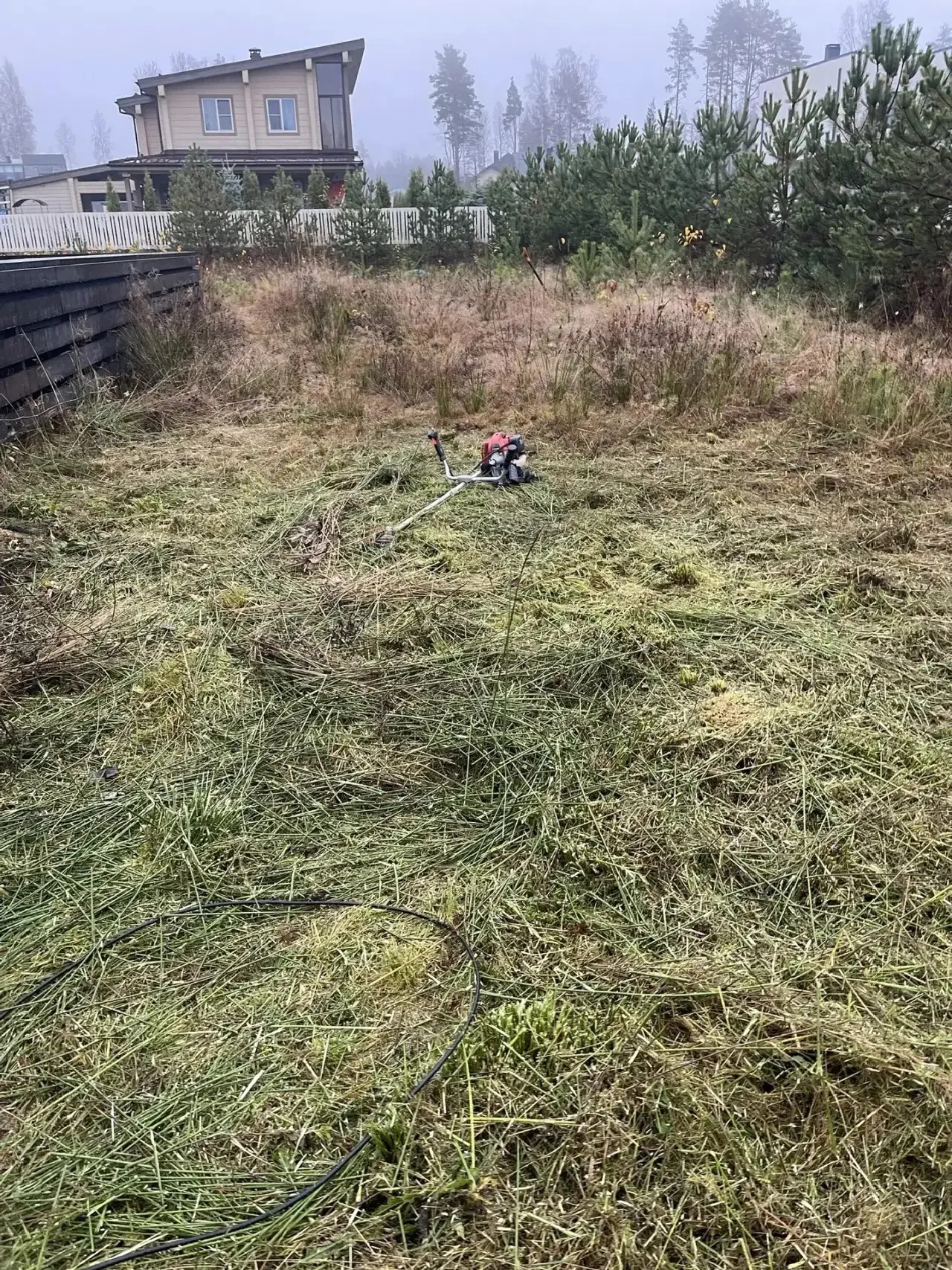 Покос и подготовка участка