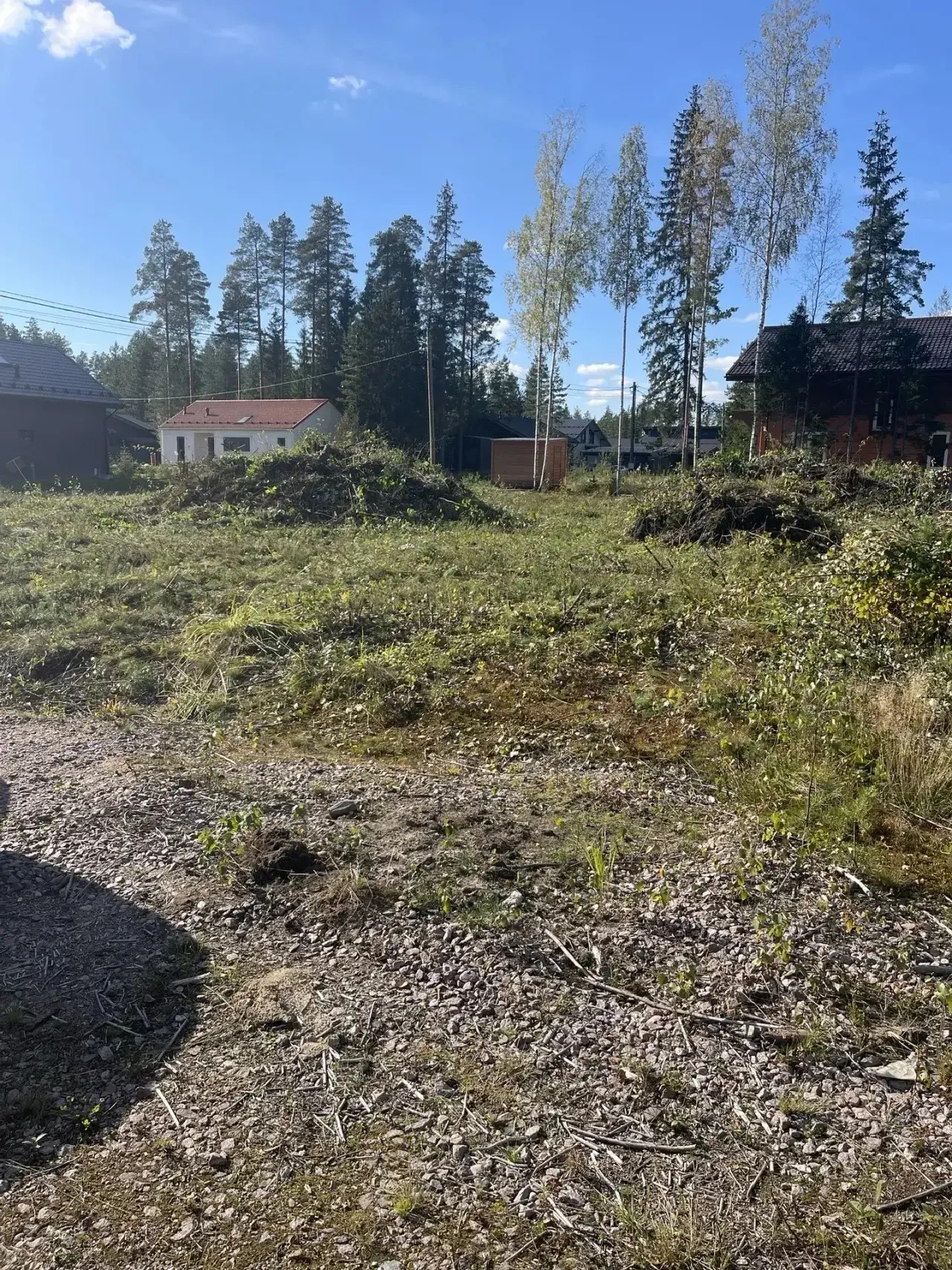 Расчистка лесного участка