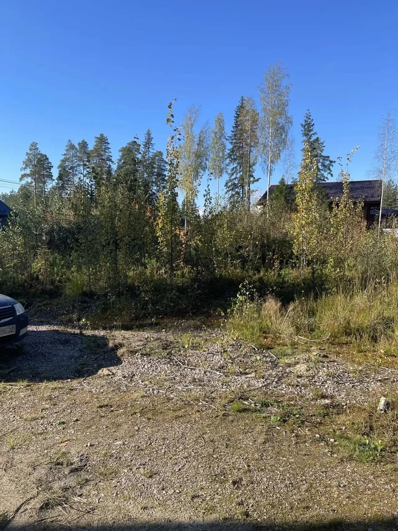 Удаление молодой поросли