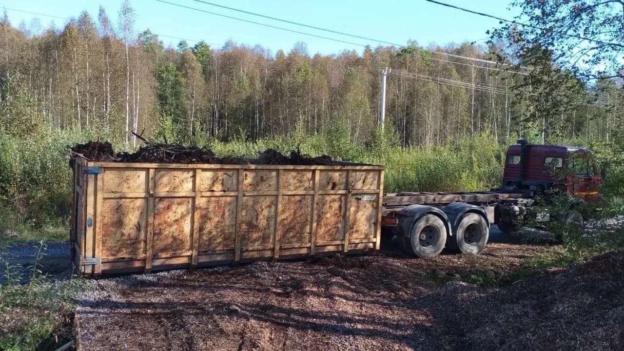 Готовый газон и благоустройство территории